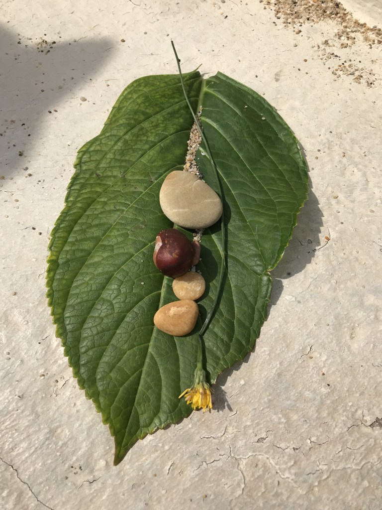 A still-life of a large green leaf with pebbles, a chestnut and a dandelion stalk arranged on it. My daughter made this!